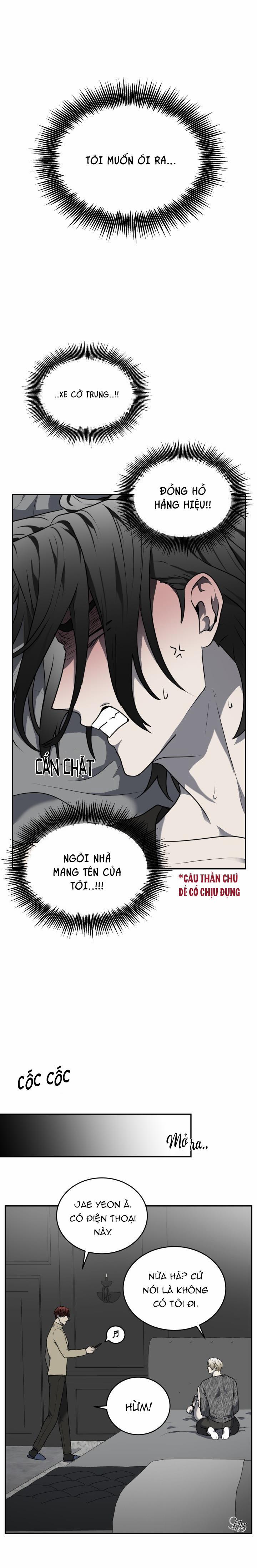 Vivarium 11.5 trang 0