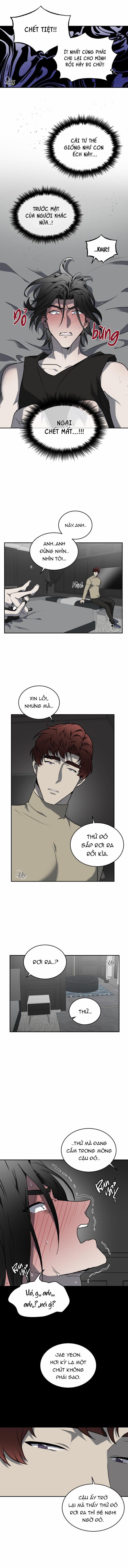 Vivarium 11.5 trang 2