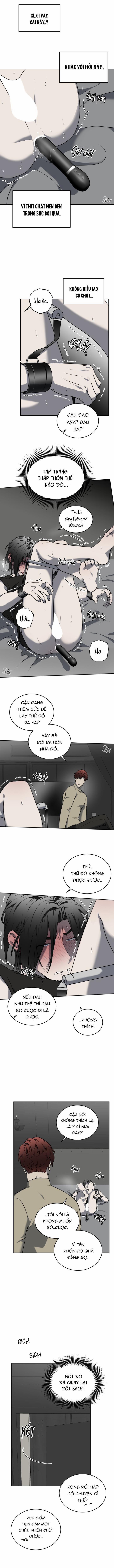 Vivarium 11.5 trang 4