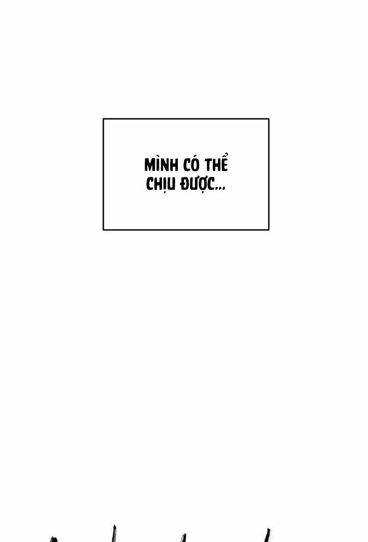 Vivarium 11 trang 11