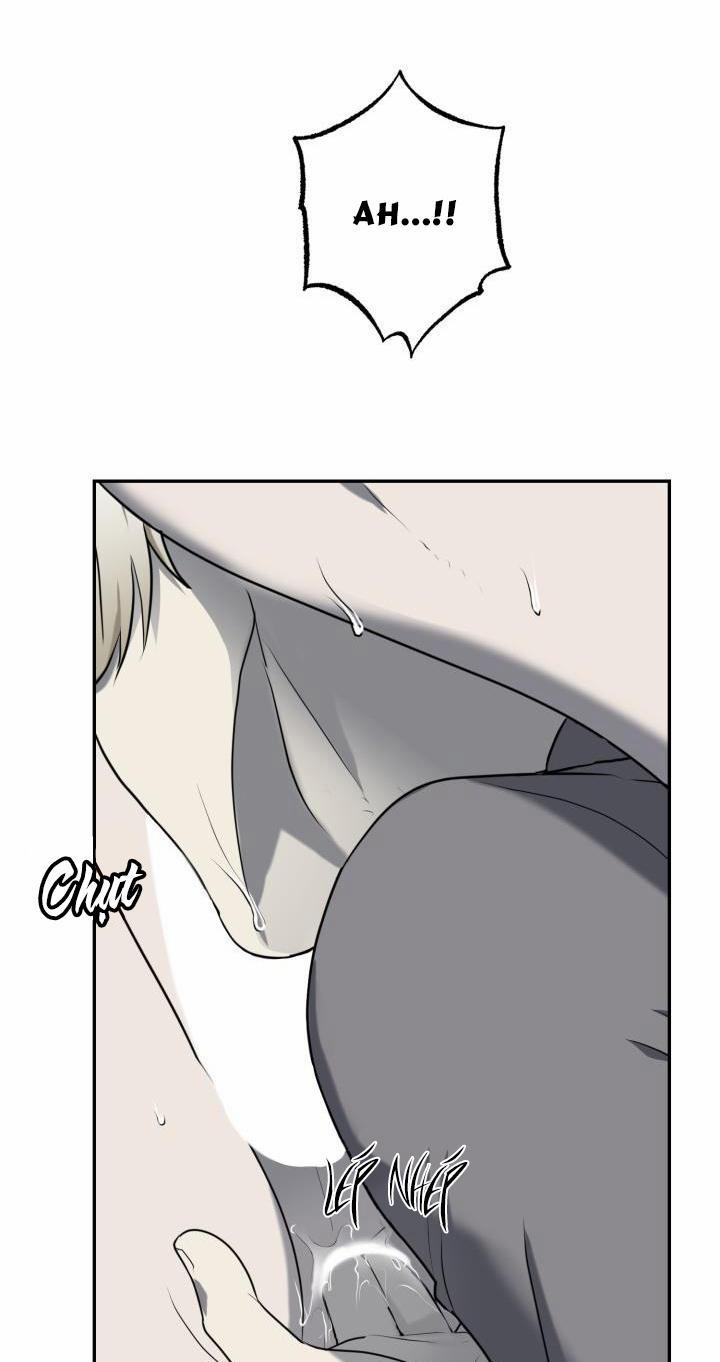 Vivarium 11 trang 14