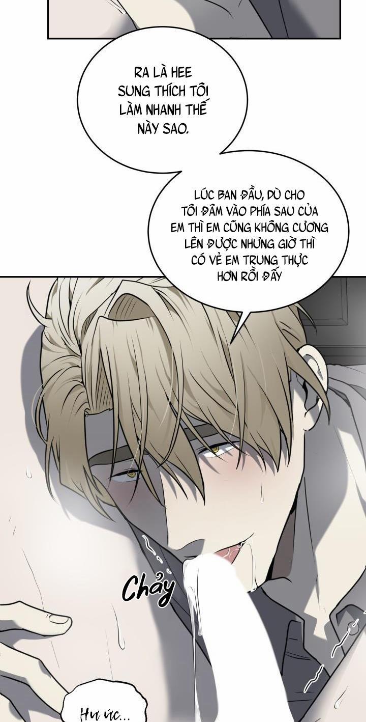 Vivarium 11 trang 15