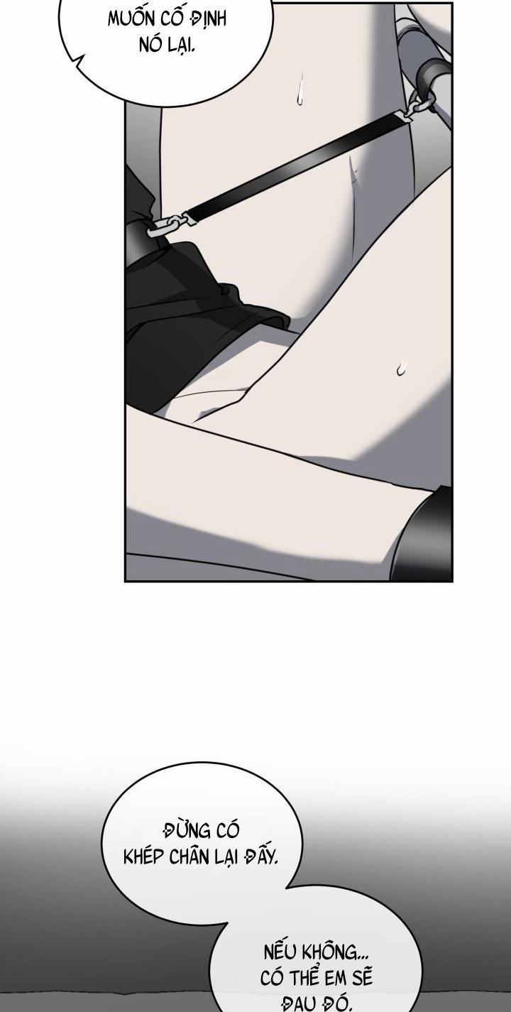 Vivarium 11 trang 26