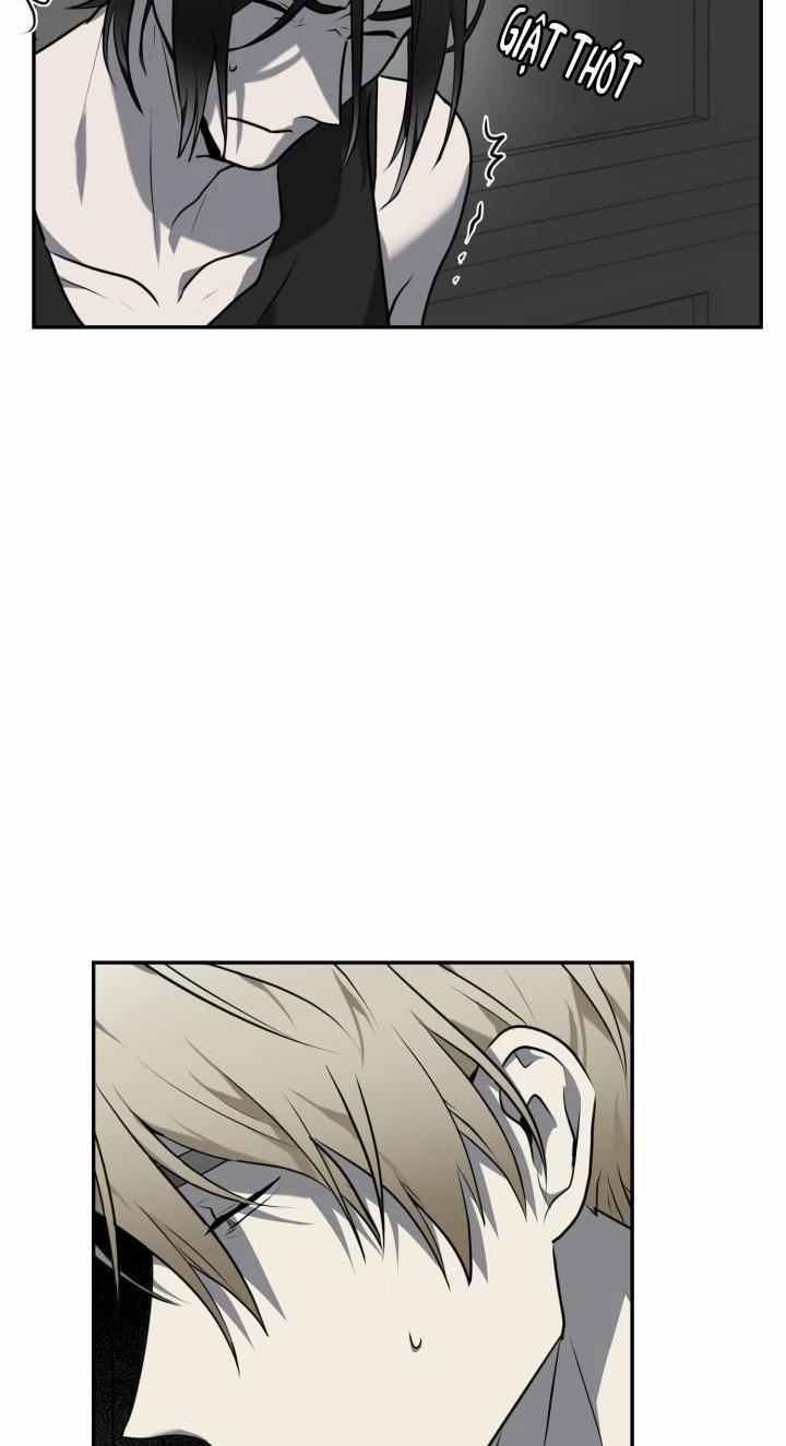 Vivarium 11 trang 33