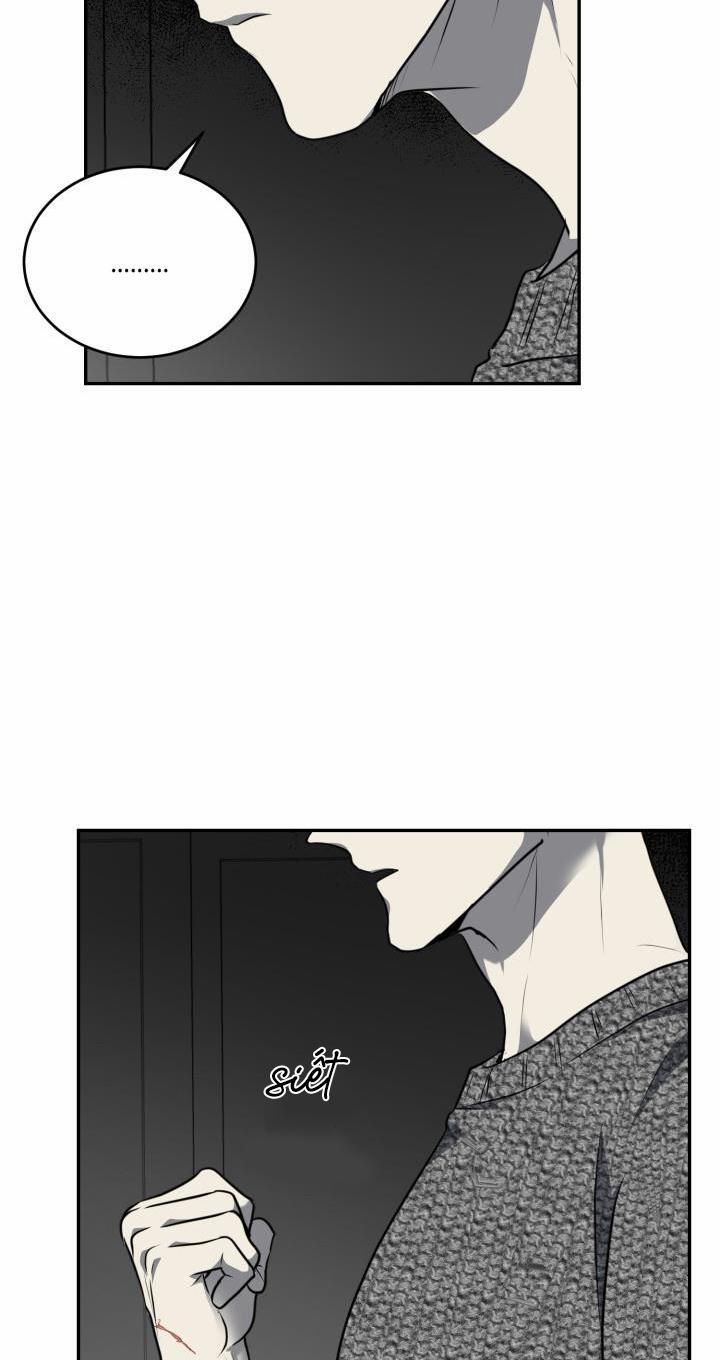 Vivarium 11 trang 34