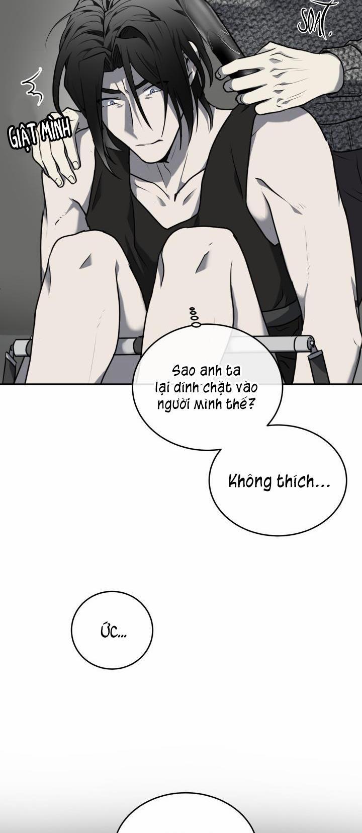 Vivarium 11 trang 36