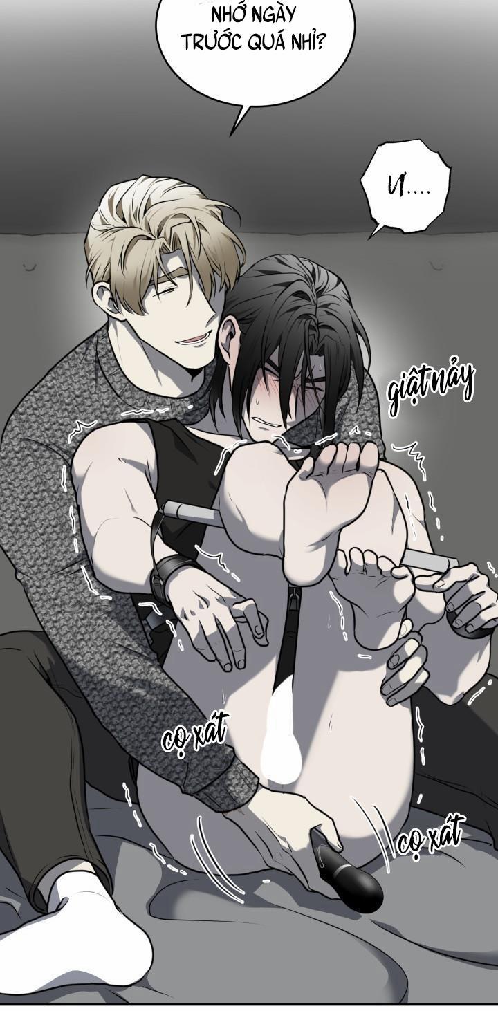 Vivarium 11 trang 37