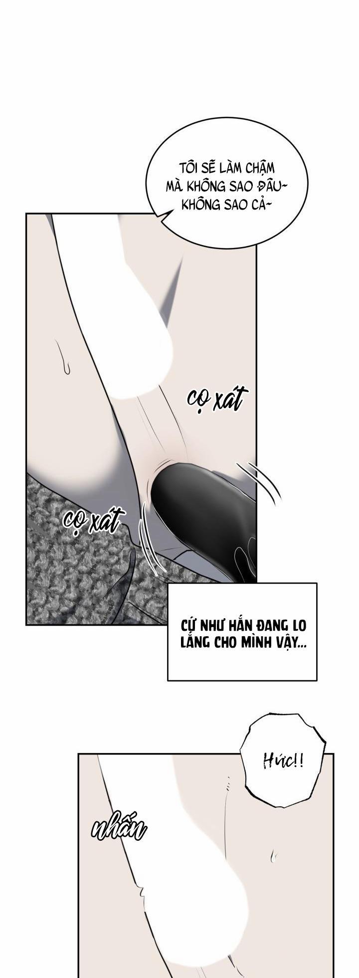 Vivarium 11 trang 38