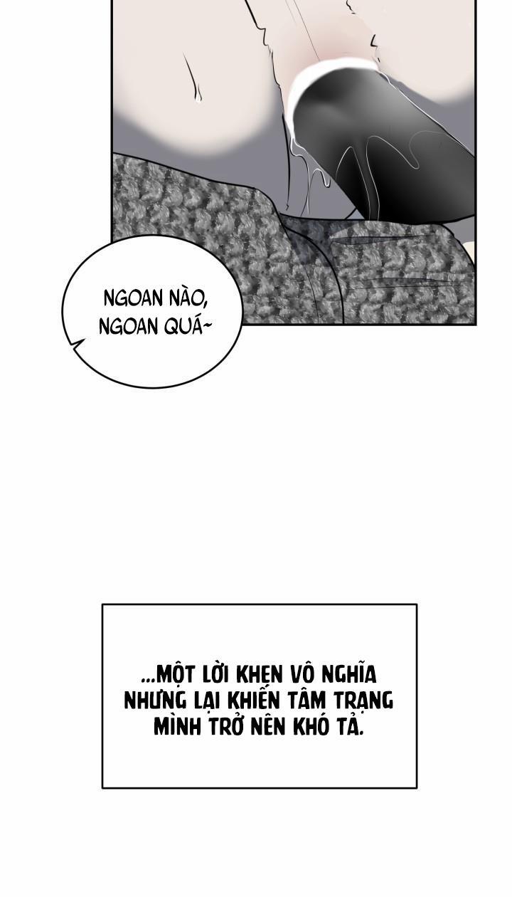 Vivarium 11 trang 39