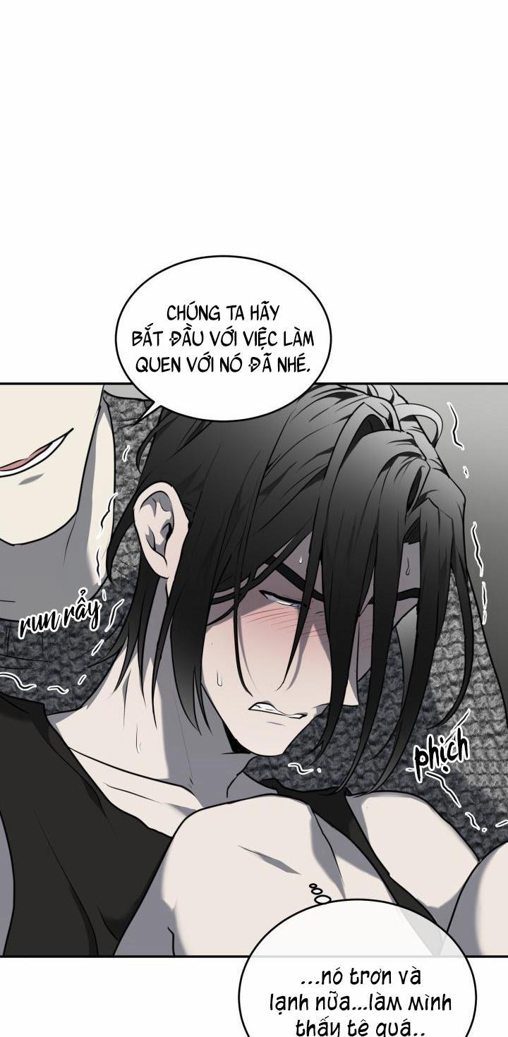 Vivarium 11 trang 40