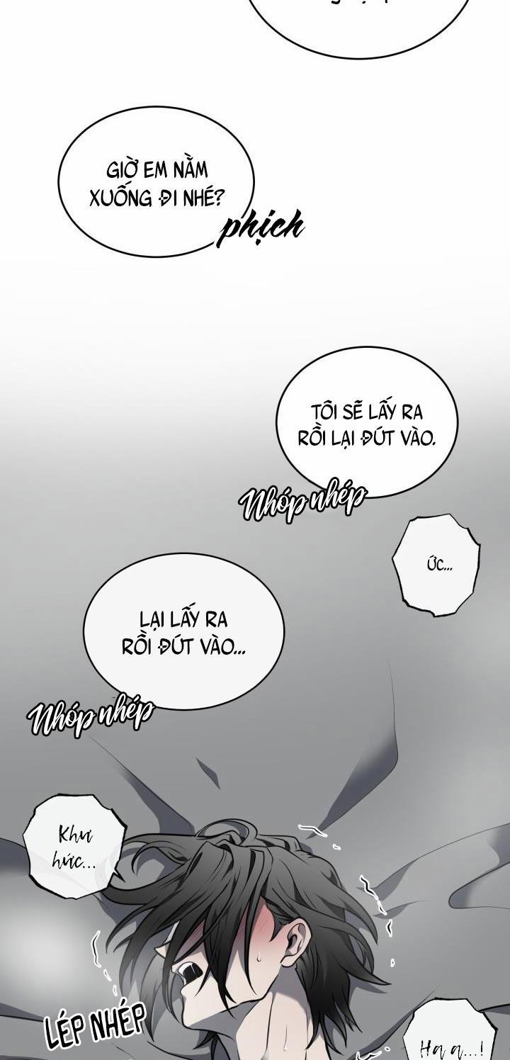 Vivarium 11 trang 41