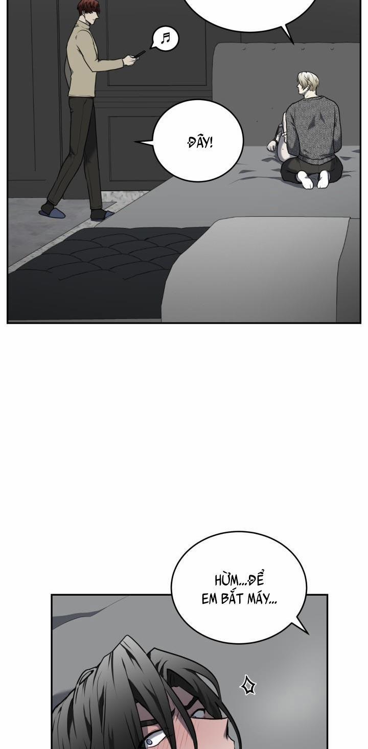 Vivarium 11 trang 46