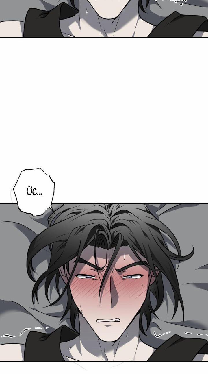 Vivarium 11 trang 65