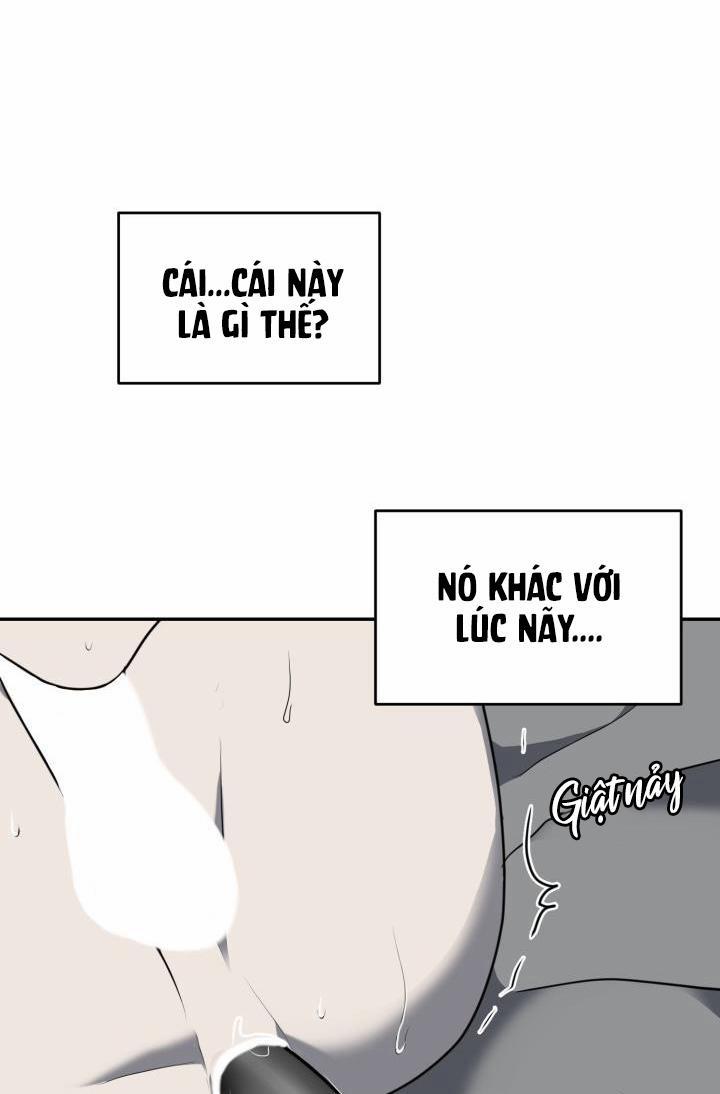 Vivarium 11 trang 66