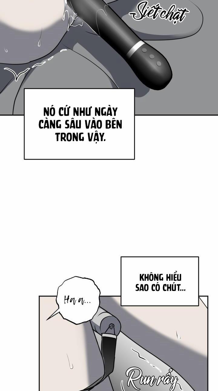 Vivarium 11 trang 67