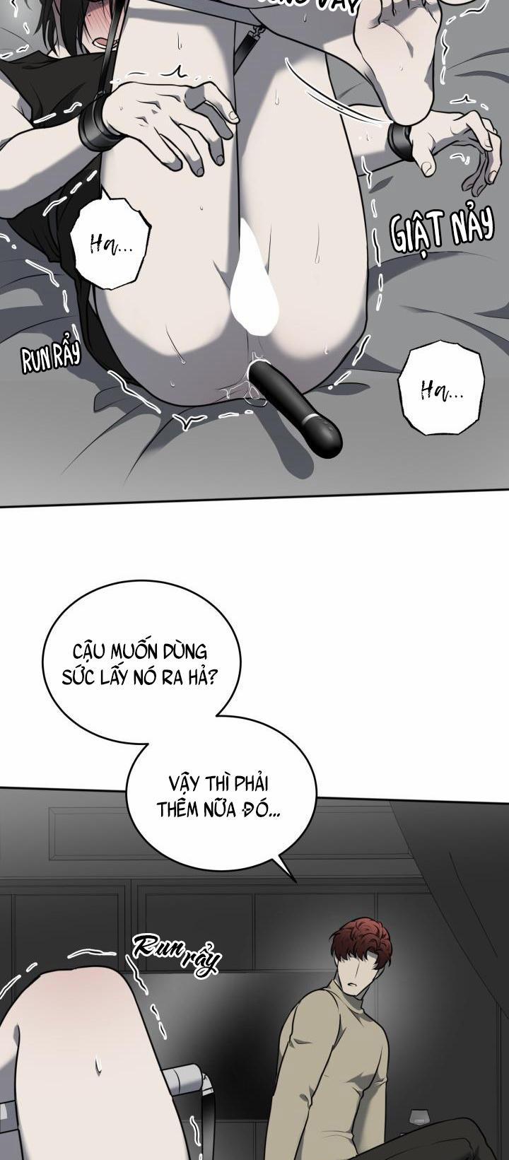 Vivarium 11 trang 70