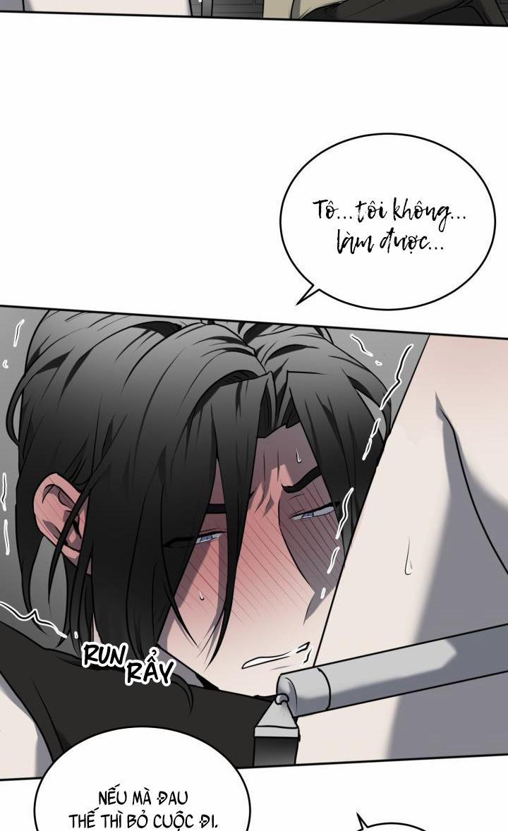 Vivarium 11 trang 71