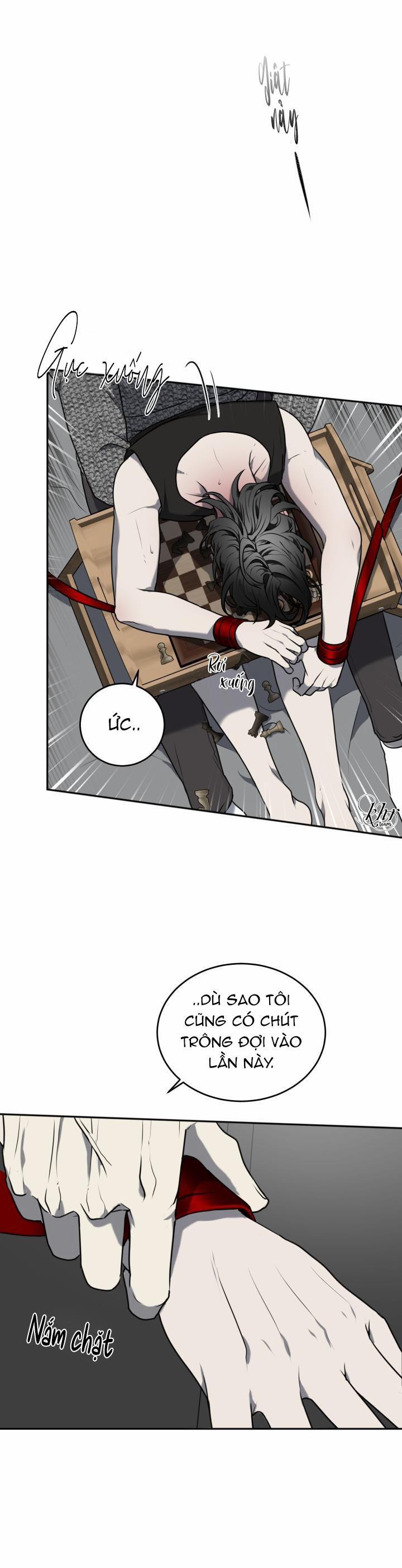 Vivarium 12.5 trang 10