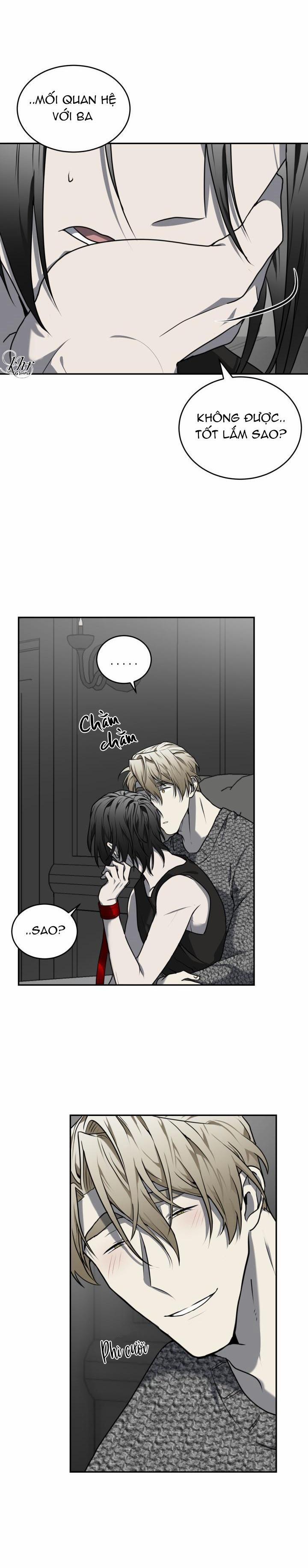 Vivarium 12.5 trang 7