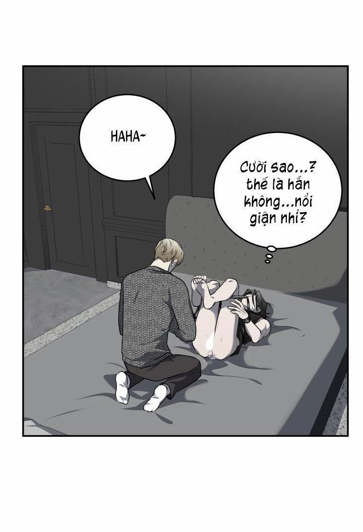 Vivarium 12 trang 11