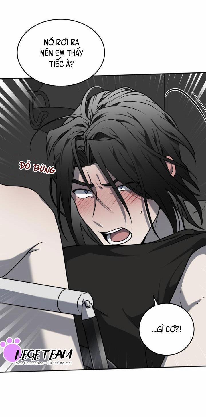 Vivarium 12 trang 13