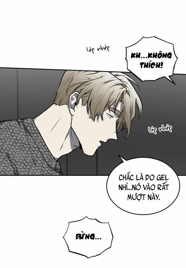 Vivarium 12 trang 15