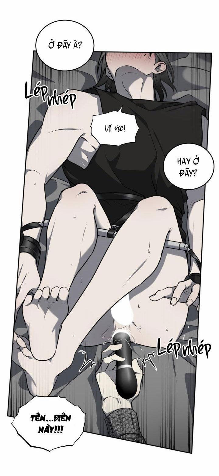 Vivarium 12 trang 18