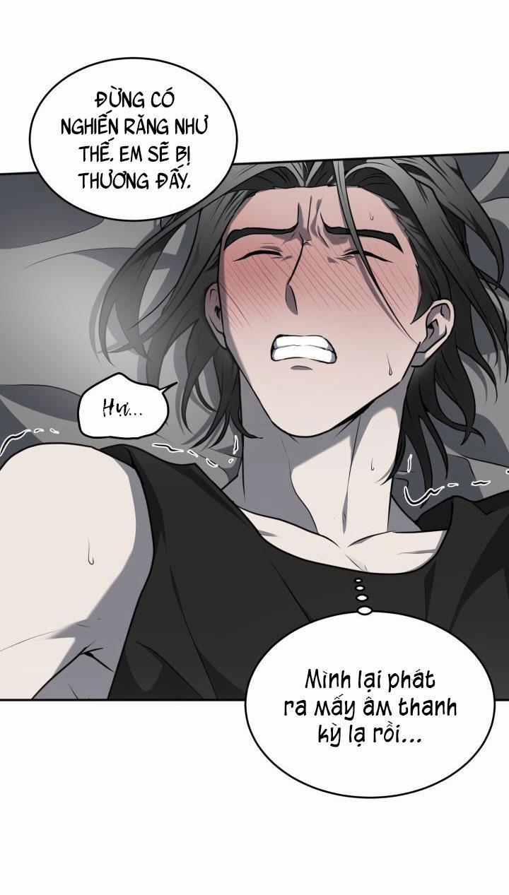 Vivarium 12 trang 19