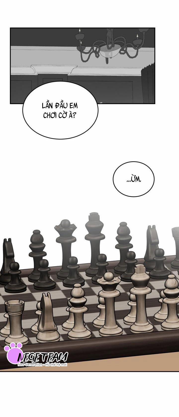 Vivarium 12 trang 27