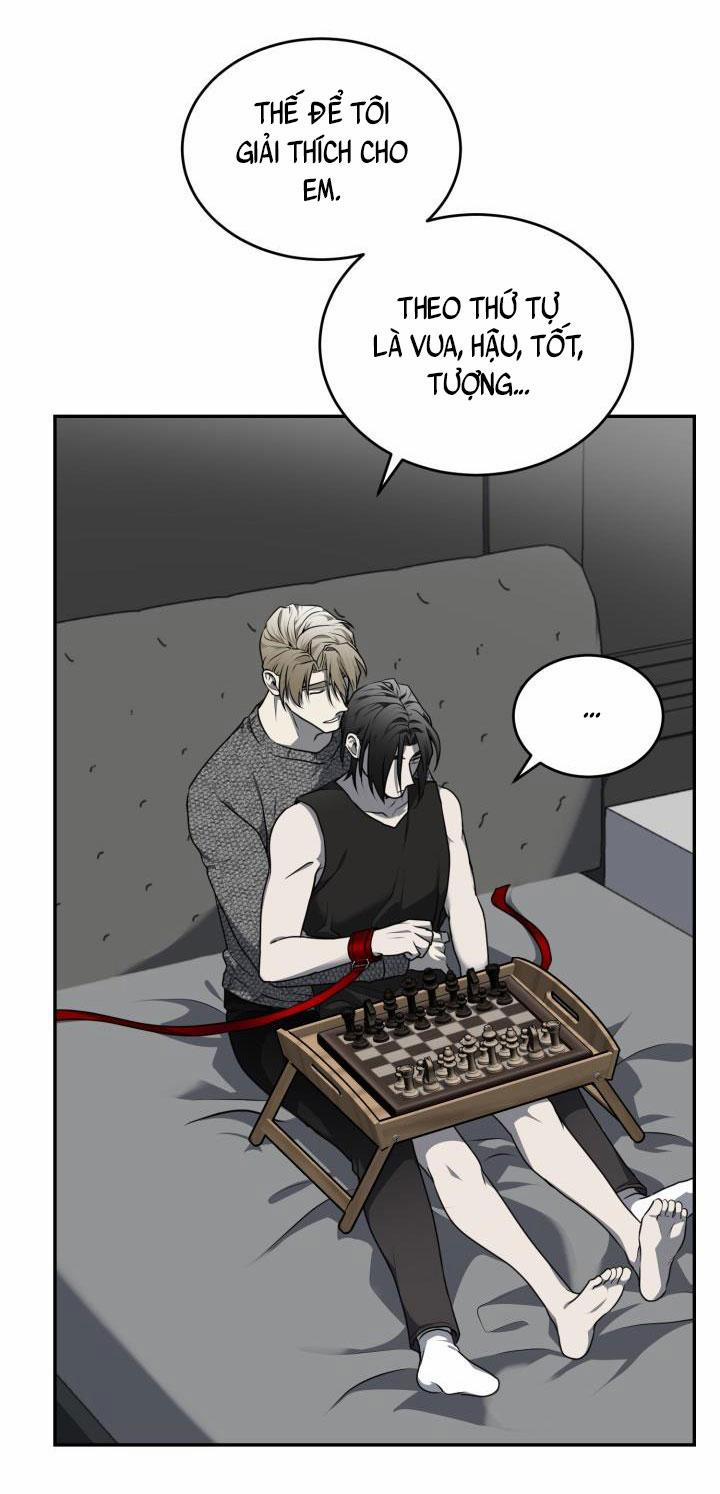 Vivarium 12 trang 28