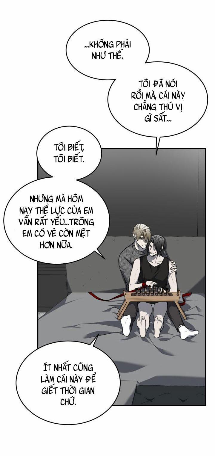 Vivarium 12 trang 33