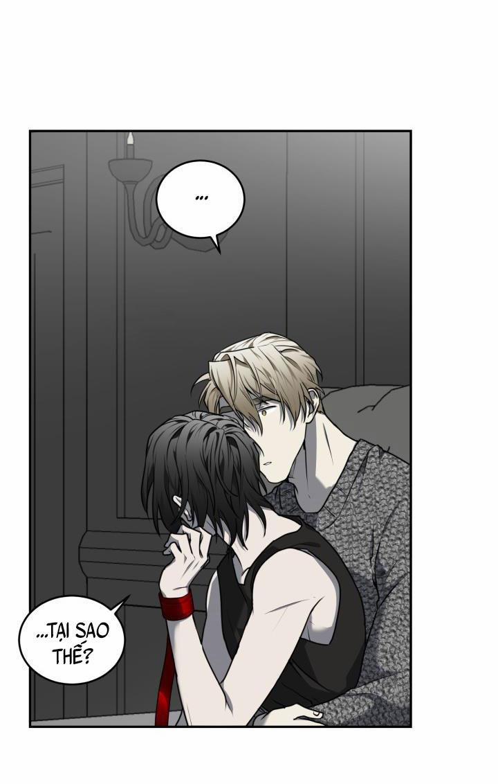 Vivarium 12 trang 48