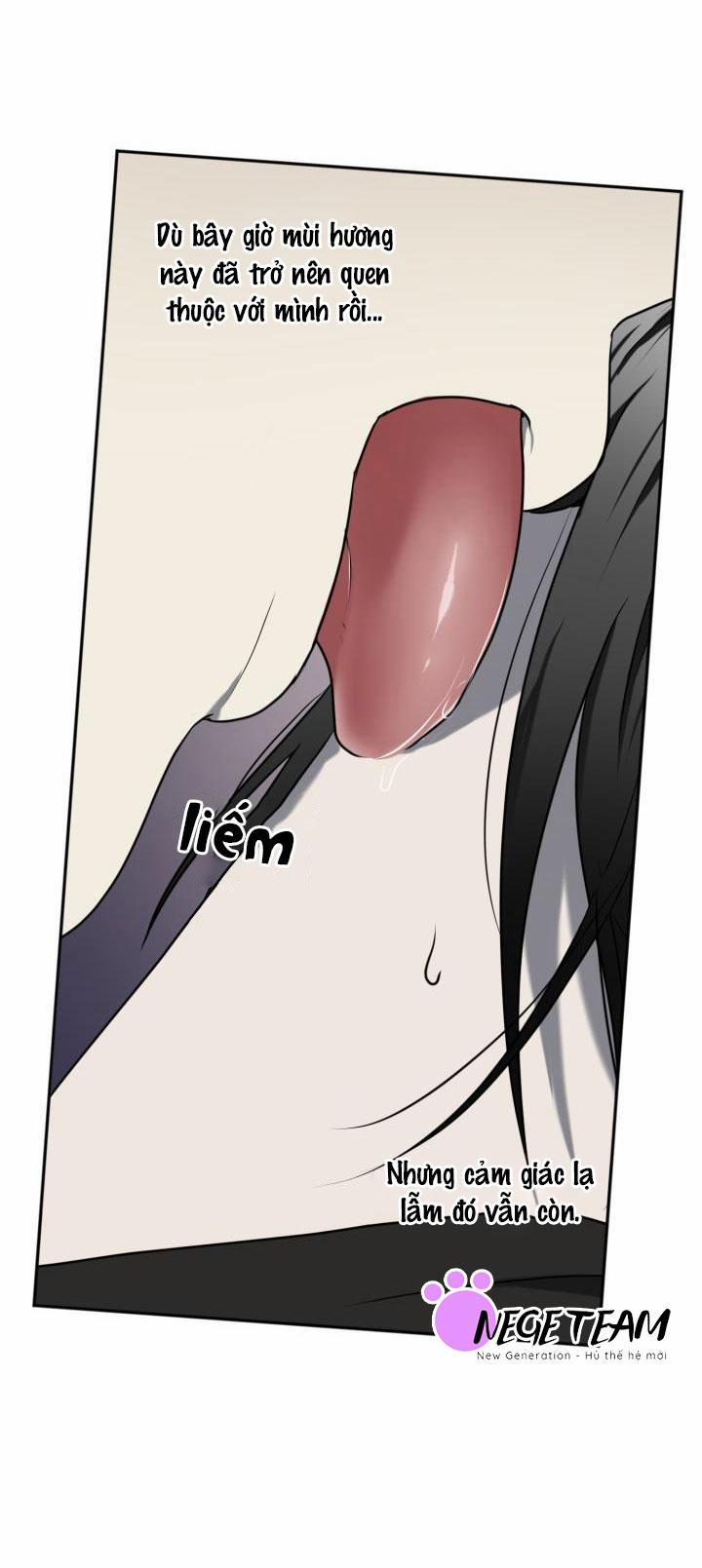 Vivarium 12 trang 54