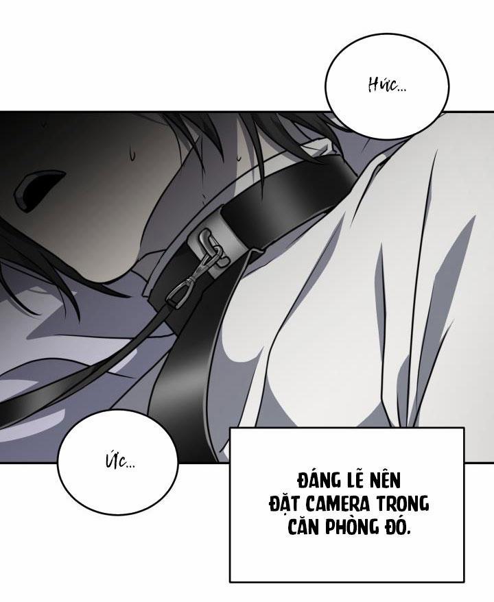 Vivarium 13 trang 19