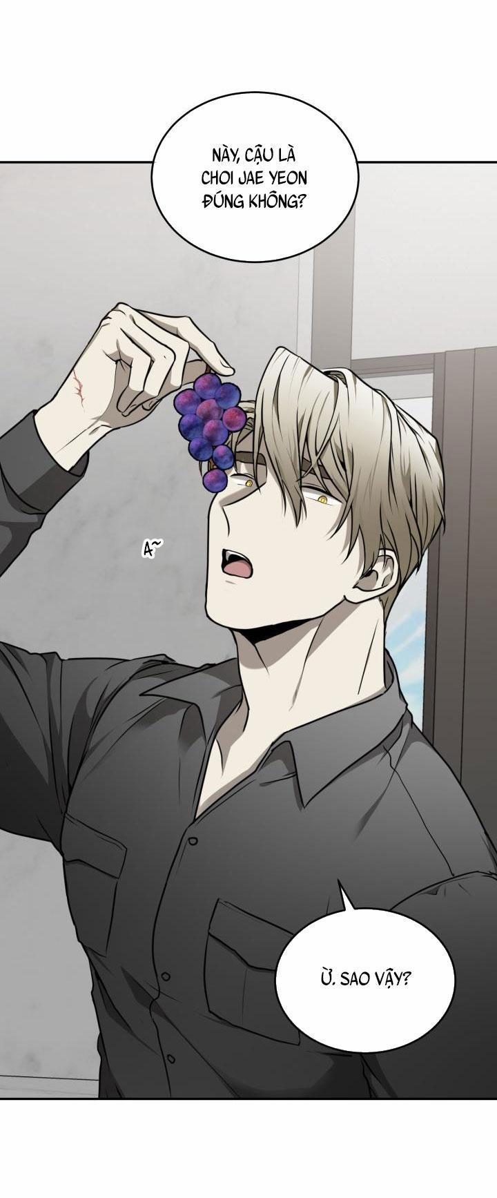 Vivarium 13 trang 29