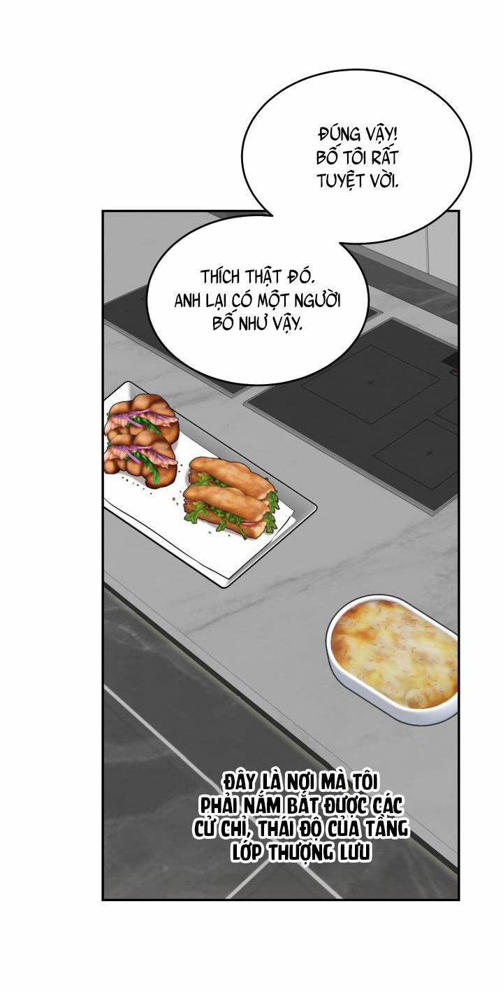 Vivarium 13 trang 41