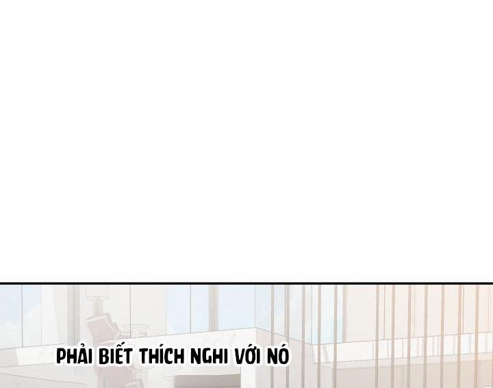 Vivarium 13 trang 42