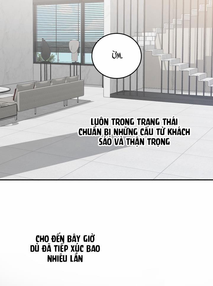 Vivarium 13 trang 43