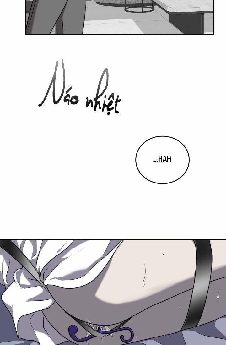 Vivarium 14.5 trang 11