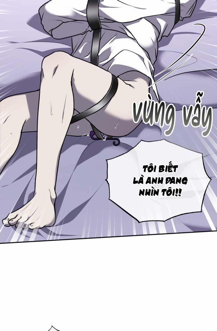 Vivarium 14.5 trang 13