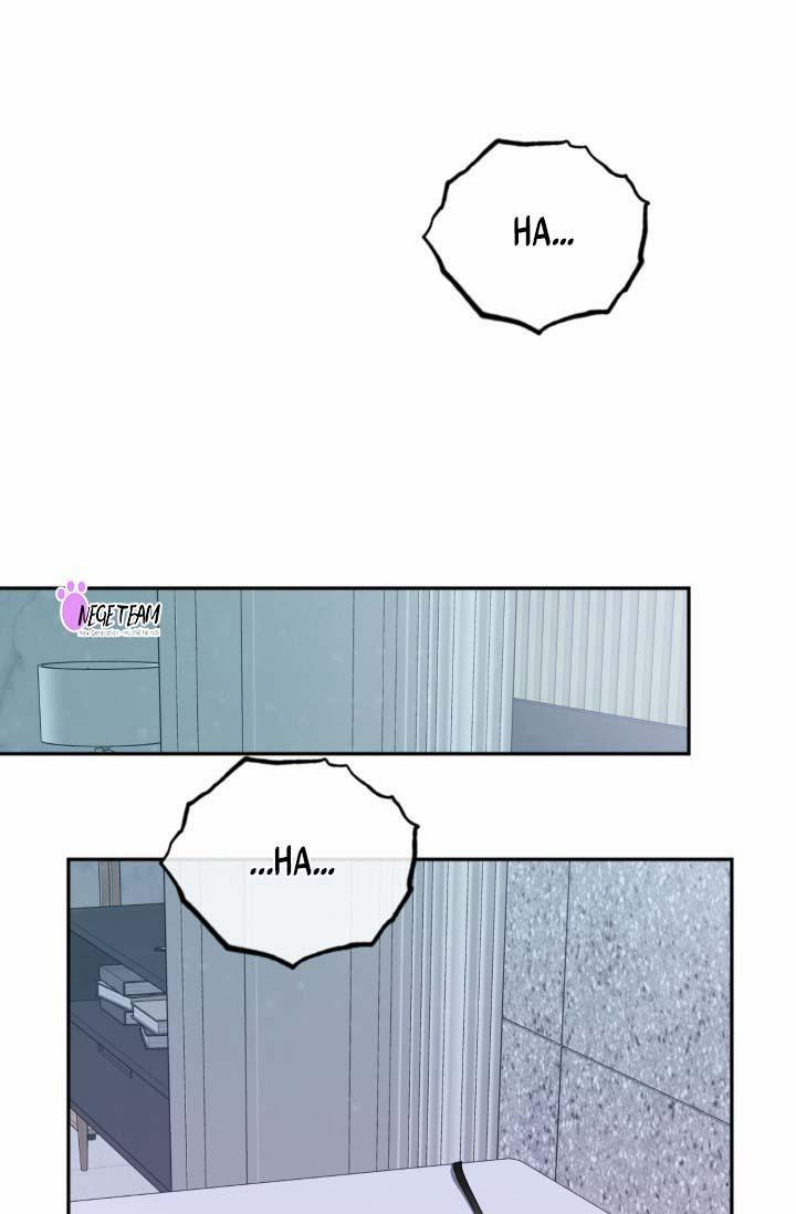 Vivarium 14.5 trang 15