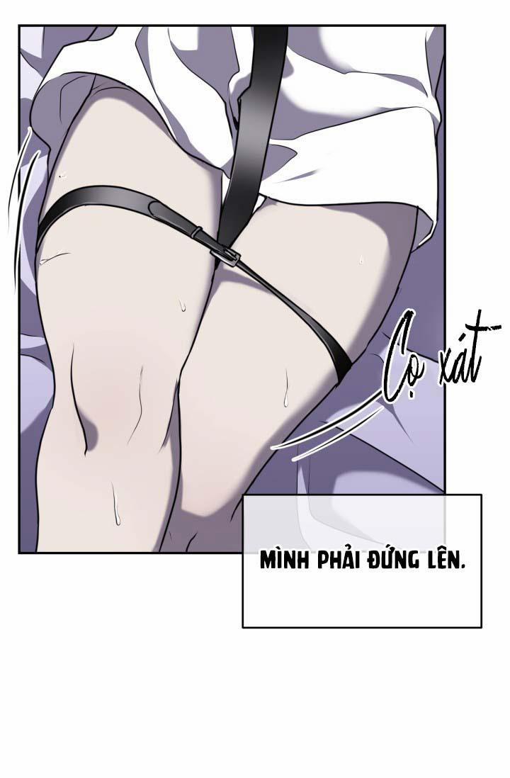 Vivarium 14.5 trang 18