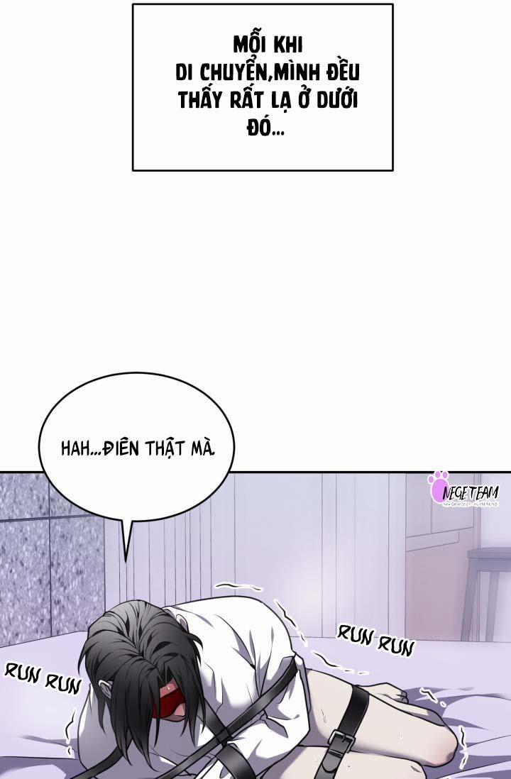 Vivarium 14.5 trang 19