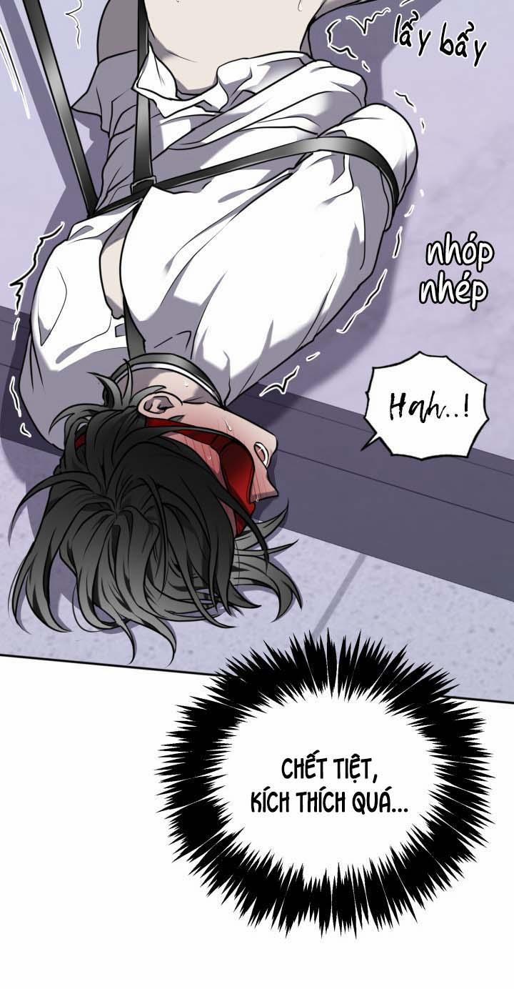 Vivarium 14.5 trang 23