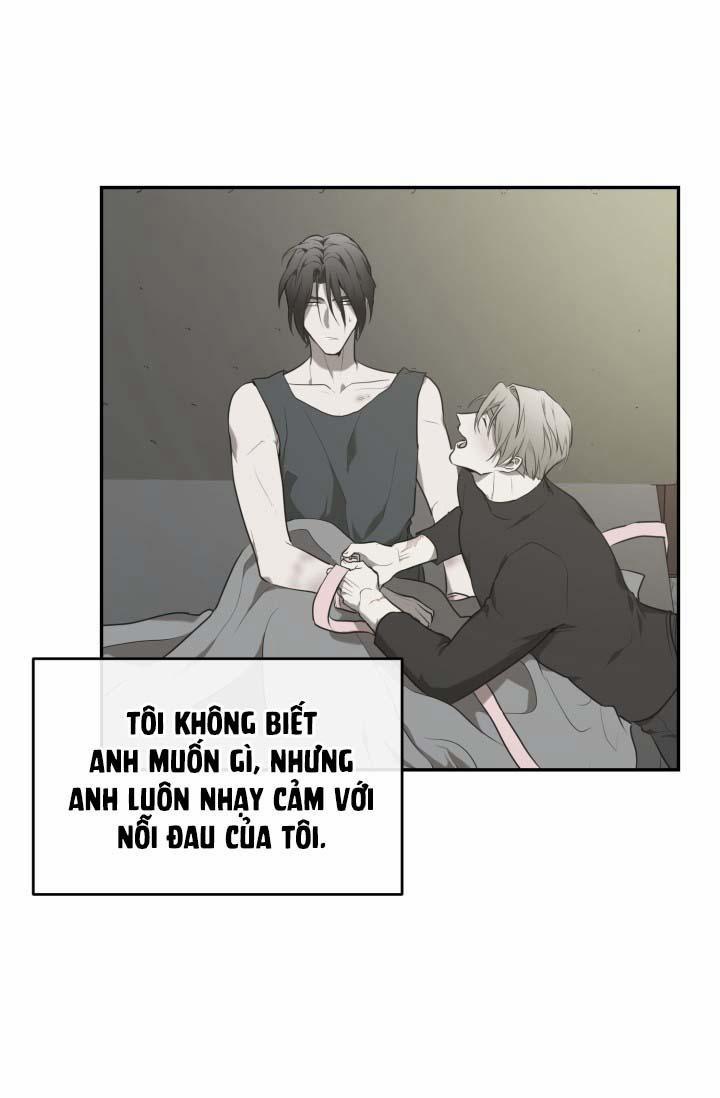 Vivarium 14.5 trang 26