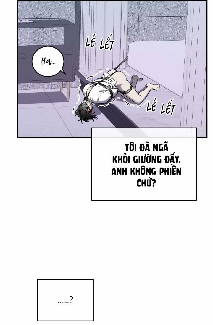 Vivarium 14.5 trang 27