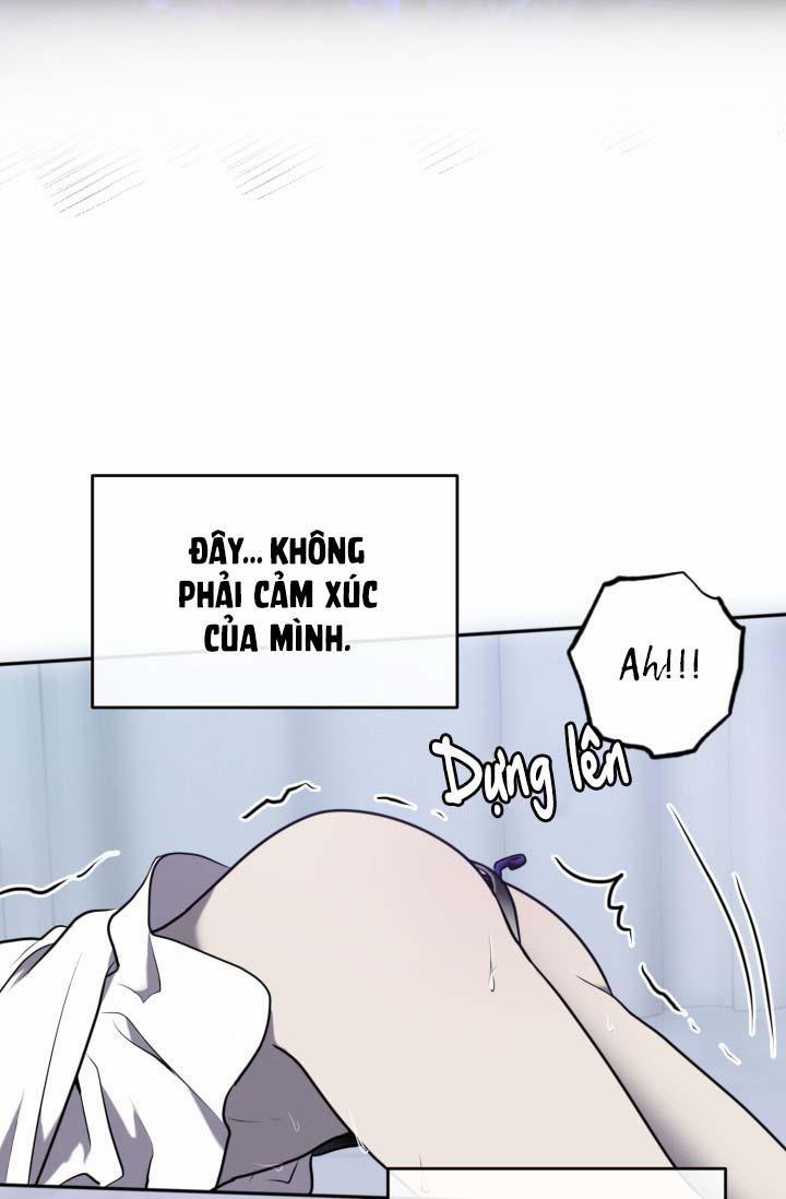 Vivarium 14.5 trang 29