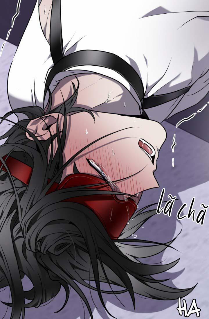 Vivarium 14.5 trang 31