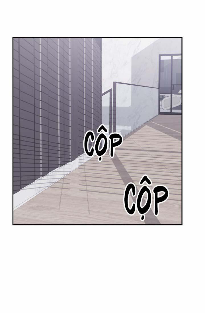 Vivarium 14 trang 11