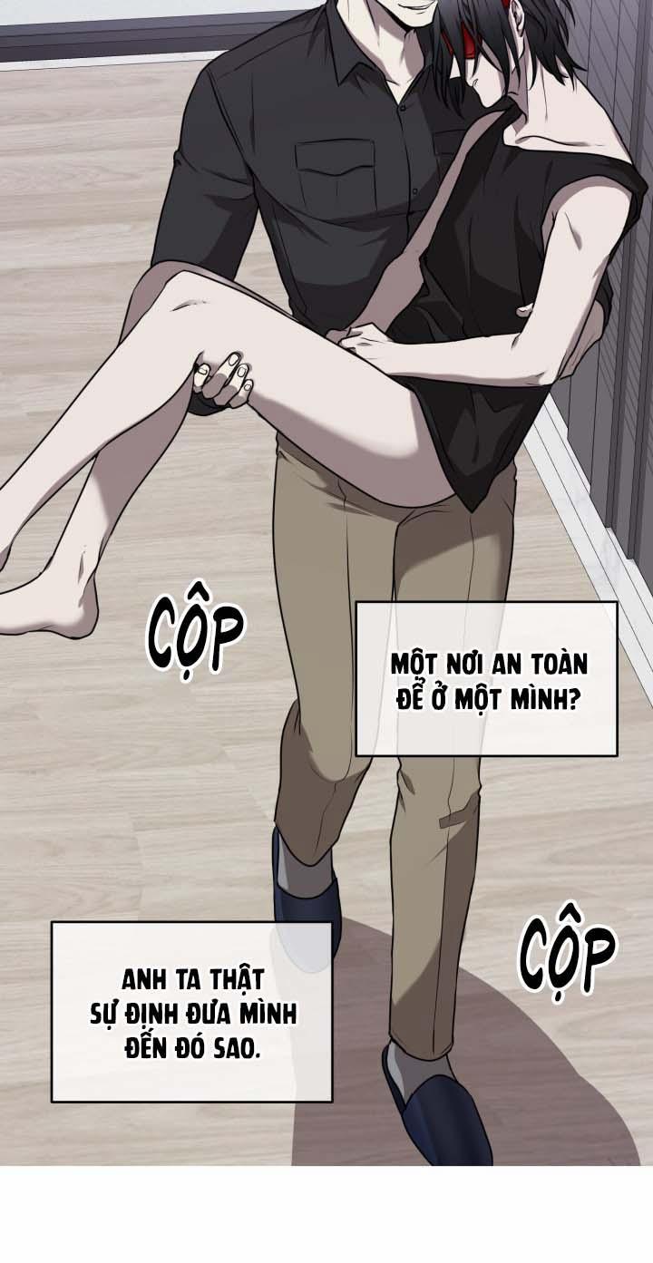 Vivarium 14 trang 13